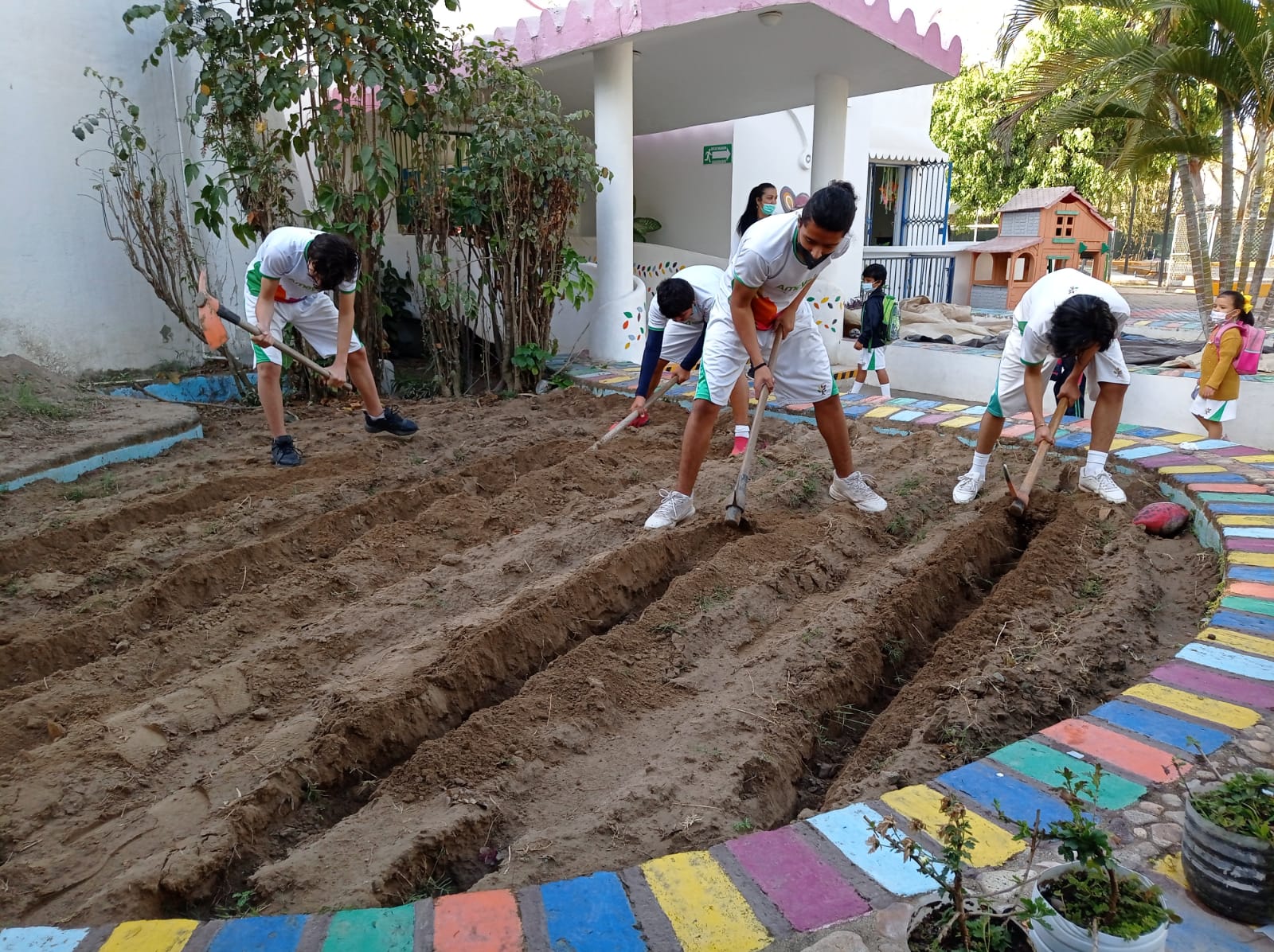 Siembra del girasol 2022 - Colegio Ameyali